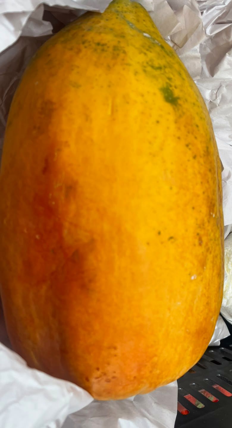 Papaya madura