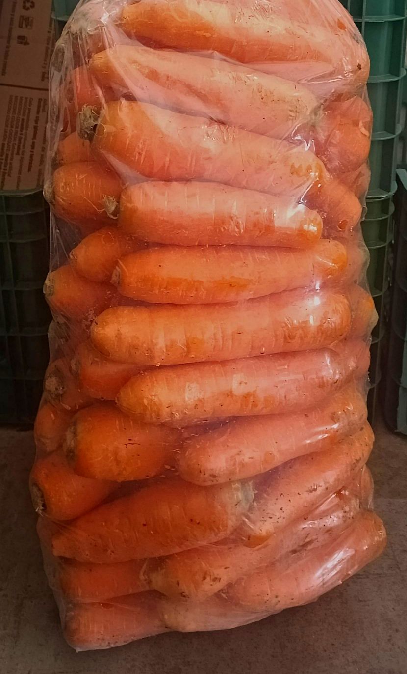 Bolsa de zanahoria